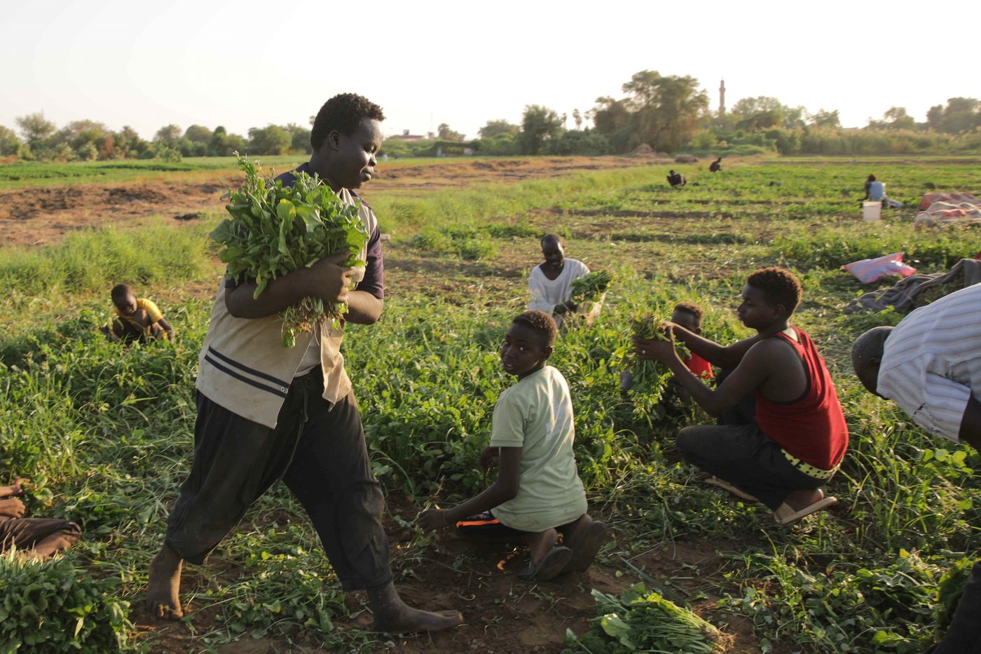 US envoy holds rare meeting with Sudan's top general in push to seek end to fighting | iNFOnews.ca