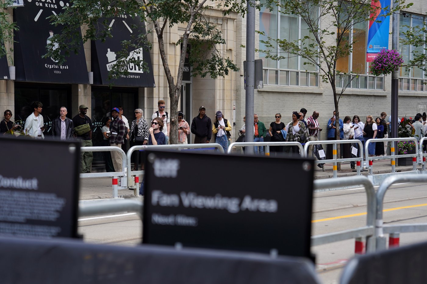 Hits and misses from this year's TIFF as the festival draws to a close | iNFOnews.ca Hits and misses from this year's TIFF as the festival draws to a close | iNFOnews.ca