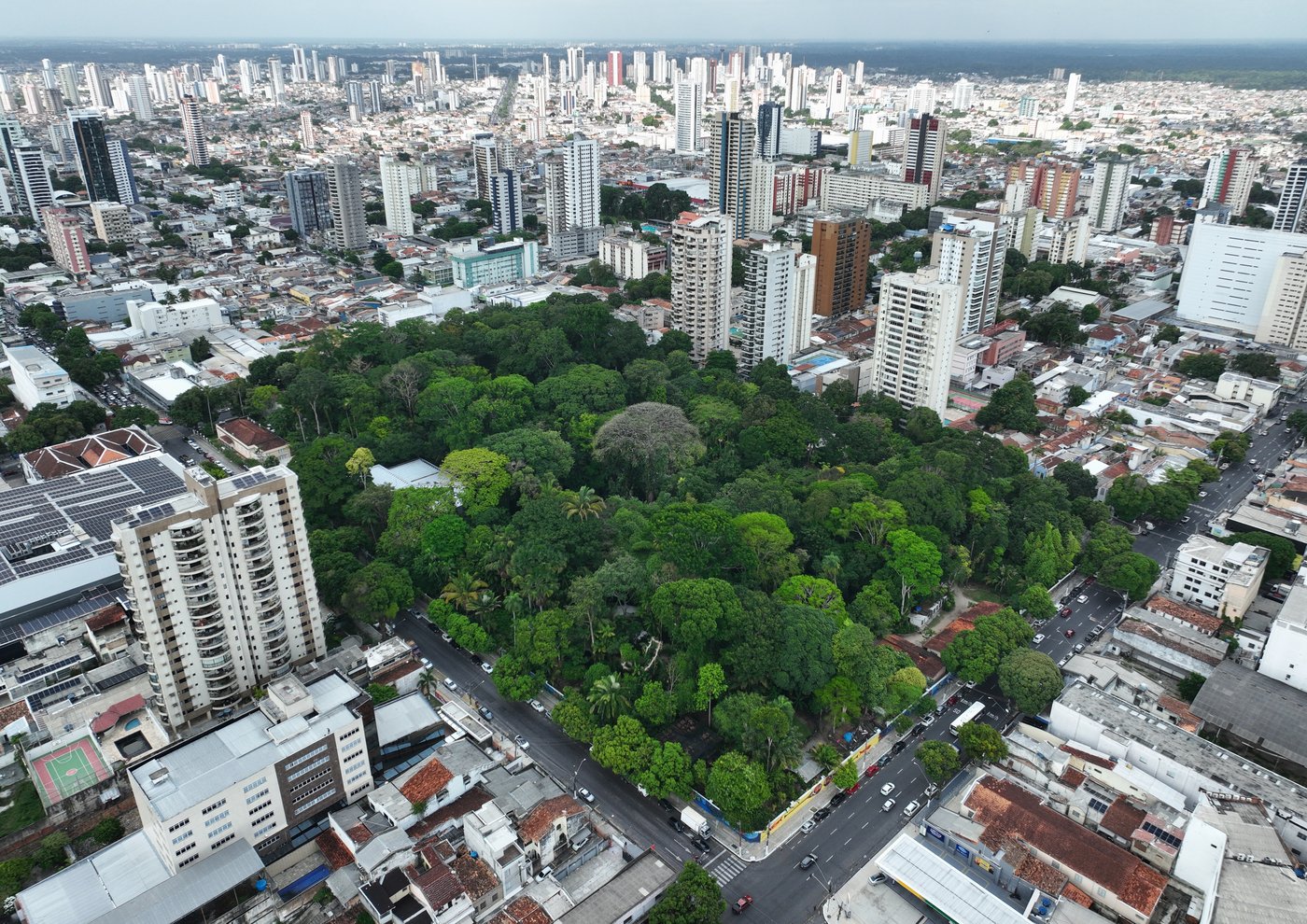 Gangs expand to nearly half the towns in the Brazilian Amazon, report finds | iNFOnews.ca