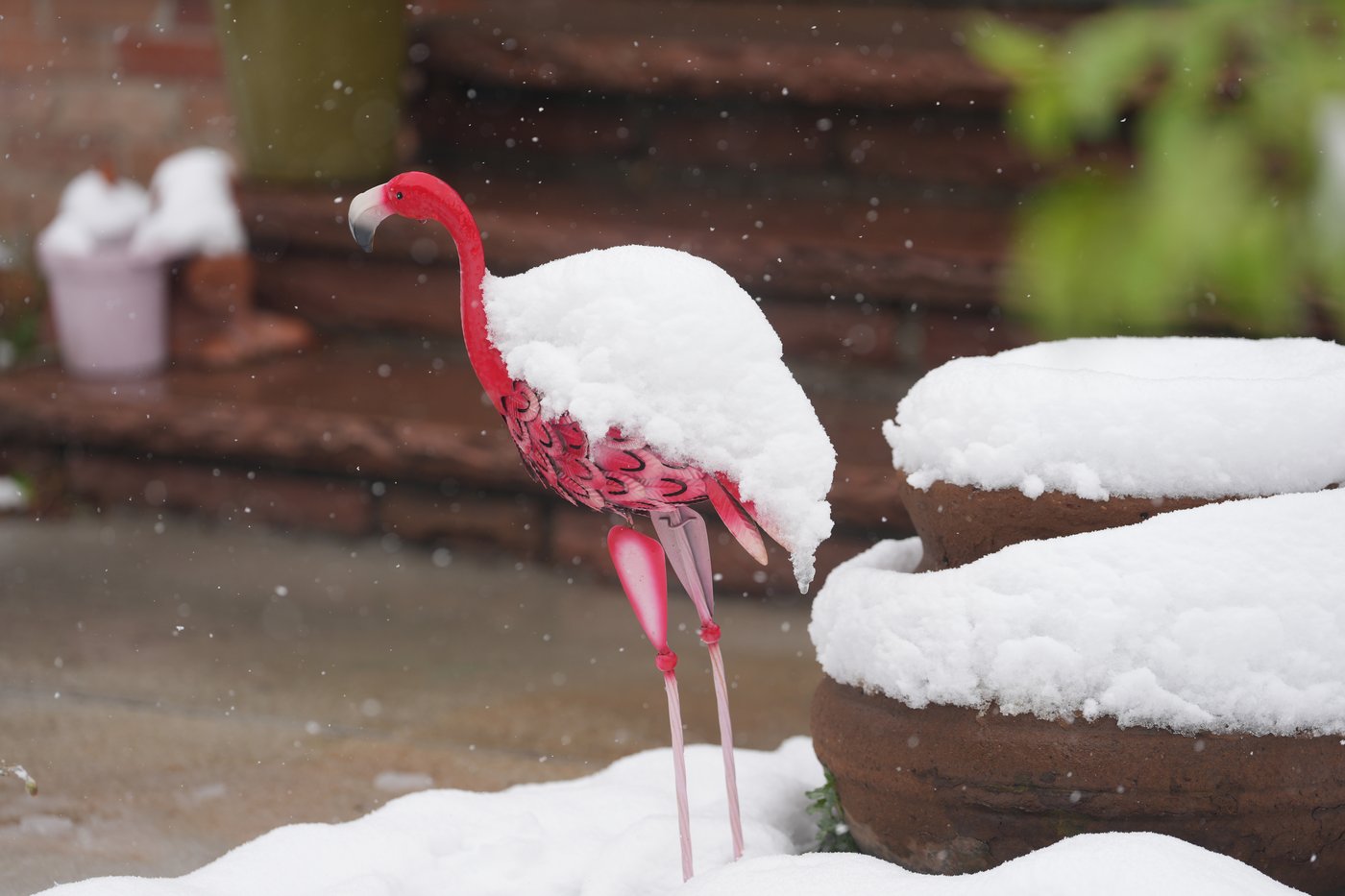 A late spring snowstorm slams Colorado, closing schools and disrupting commuters | iNFOnews.ca A late spring snowstorm slams Colorado, closing schools and disrupting commuters | iNFOnews.ca