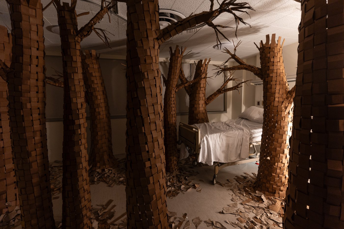 Former LA hospital hosts immersive art show, in photos | iNFOnews.ca