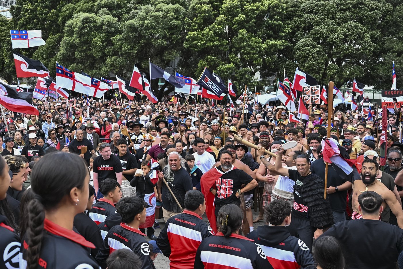 35,000 crowd New Zealand's Parliament grounds in support of Māori rights | iNFOnews.ca