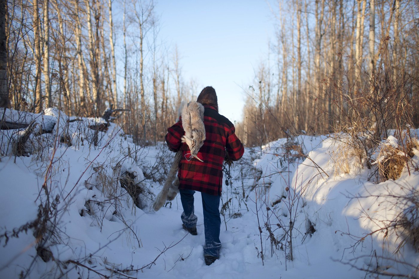 For trappers, the land is their office — wildfires have them bracing for the worst | iNFOnews.ca