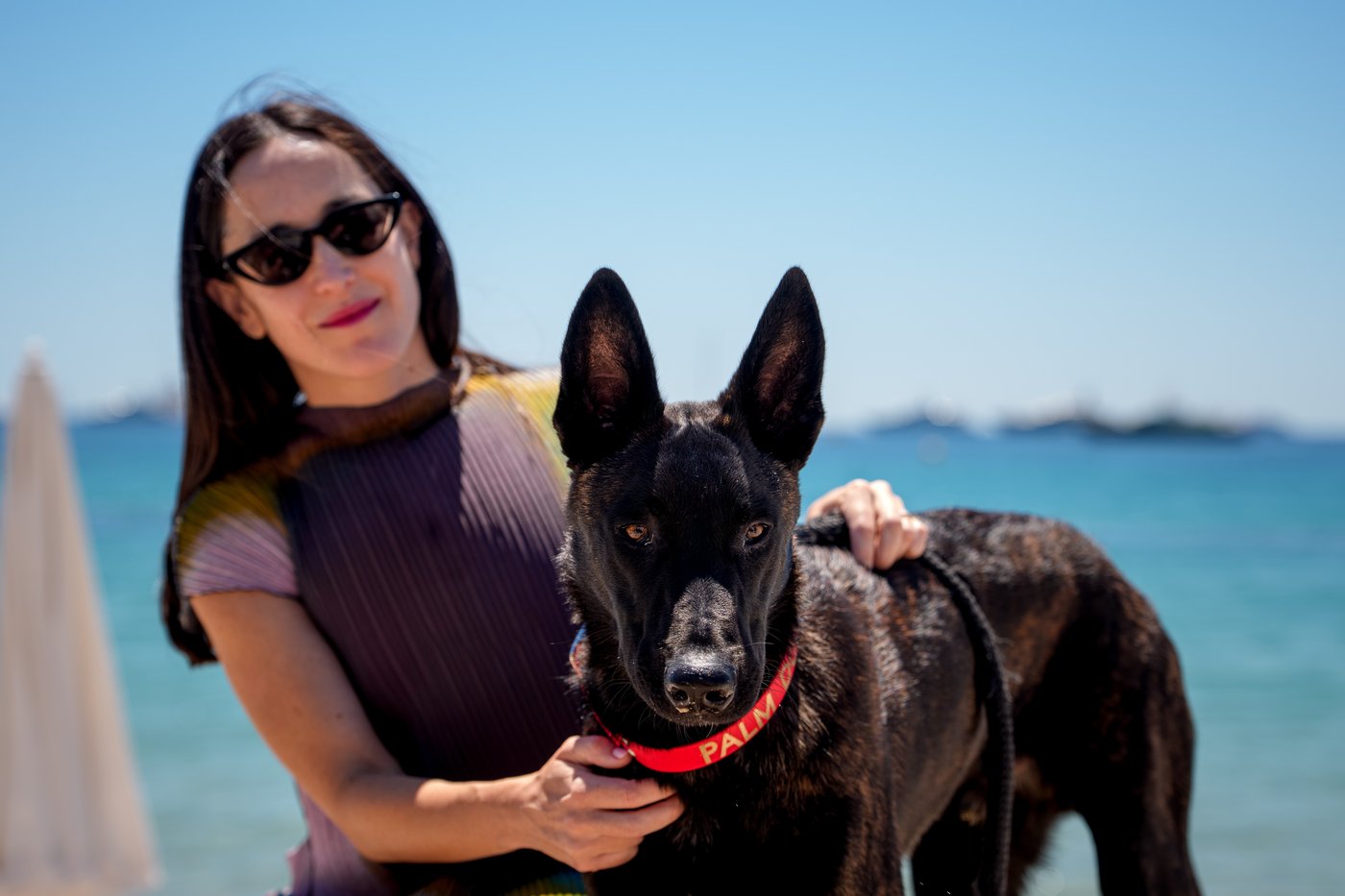 A round of a-paws for ‘La Perra,’ winner of the Palm Dog award at Cannes | iNFOnews.ca