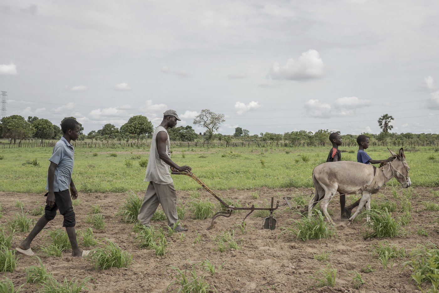 Money Gambians send home from Europe is a lifeline for their families but the sacrifices take a toll | iNFOnews.ca