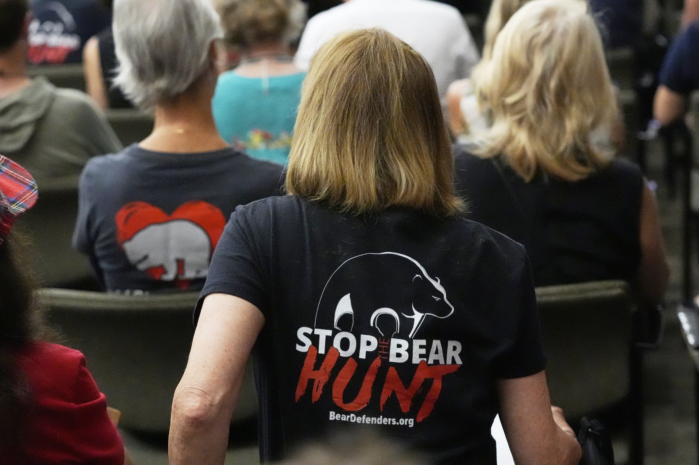 Conservationists sue to stop Florida's first black bear hunt in a decade | iNFOnews.ca