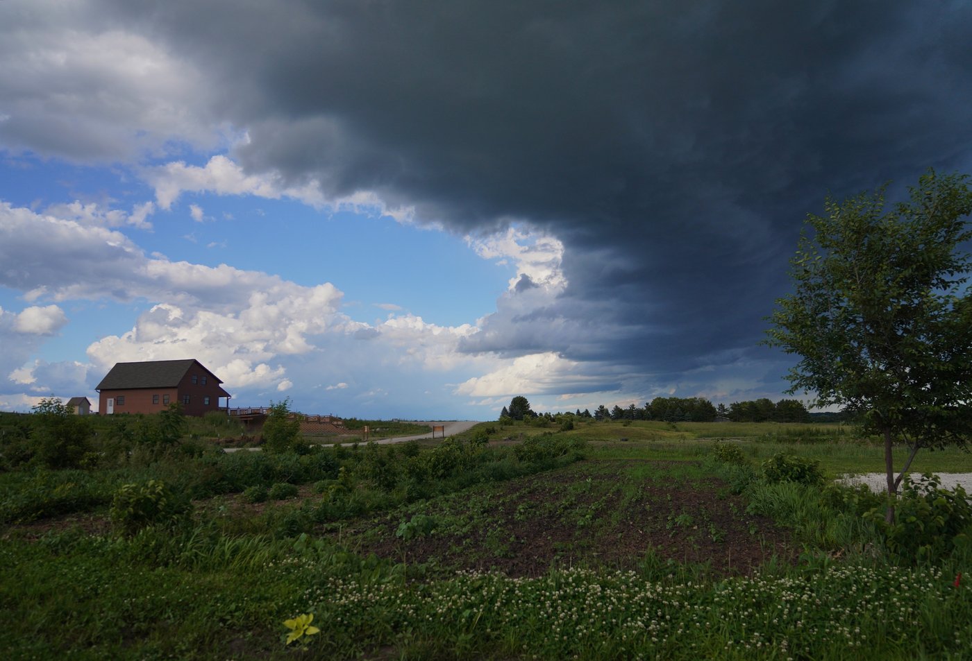 For these Midwest farmers, regenerative agriculture is about more than soil health. It's spiritual | iNwine For these Midwest farmers, regenerative agriculture is about more than soil health. It's spiritual | iNwine