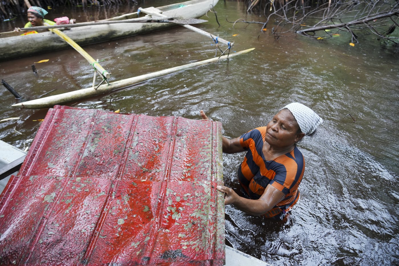 Papuan women's mangrove forest in Indonesia is increasingly threatened by development and pollution | iNFOnews.ca Papuan women's mangrove forest in Indonesia is increasingly threatened by development and pollution | iNFOnews.ca
