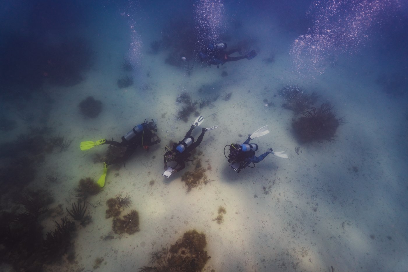 Underwater memorial to wrecked slave ship draws pilgrims seeking to connect with their roots | iNFOnews.ca