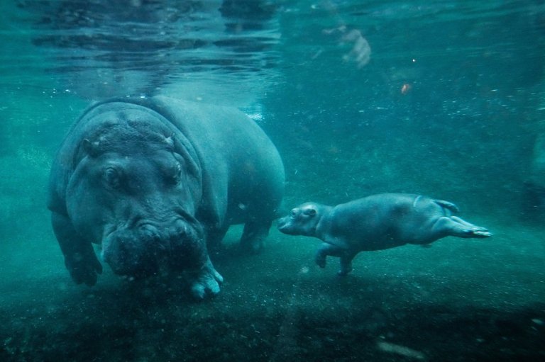 The top photos of the day by AP's photojournalists | iNFOnews.ca