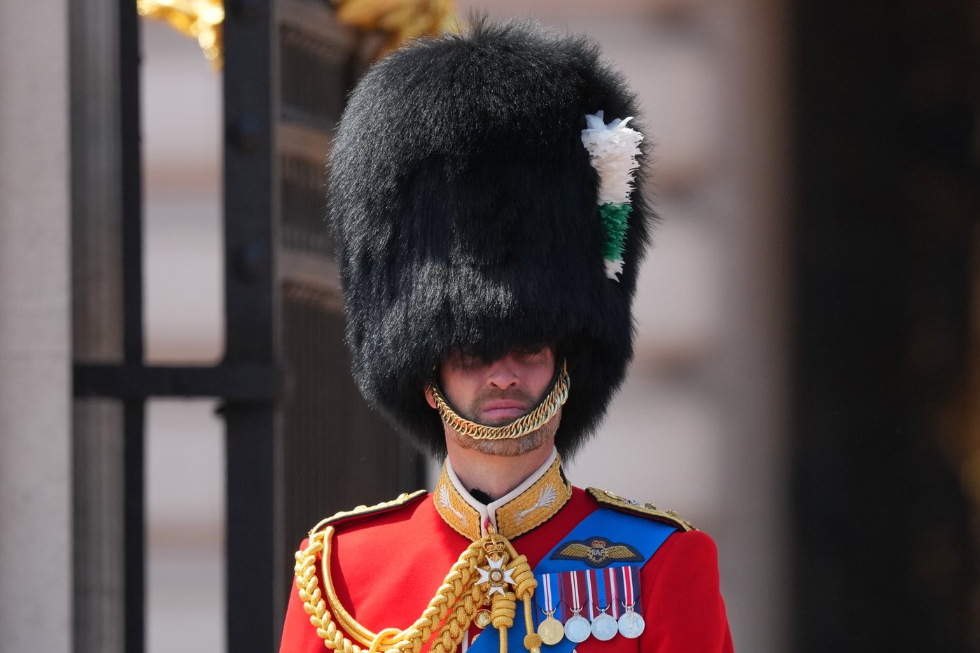 Photos show the royal family at the Trooping The Colour parade | iNFOnews.ca