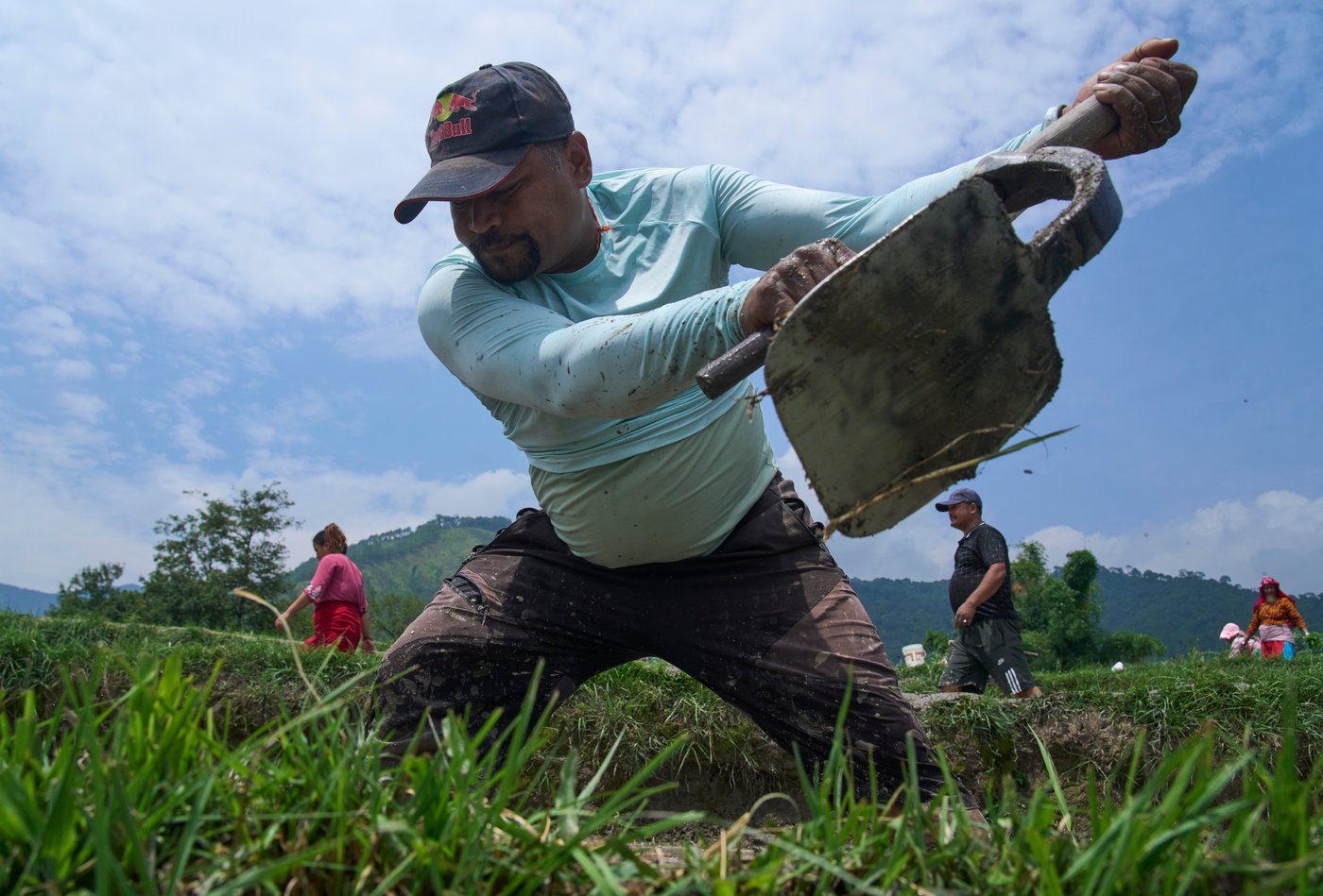 Photo show Paddy Day, the festival marking the start of the rice planting season in Nepal | iNFOnews.ca