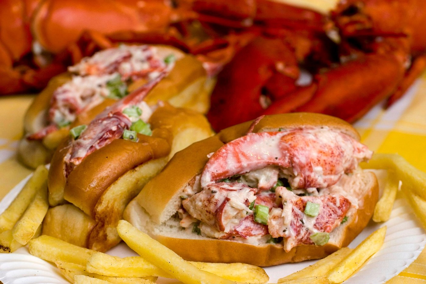 World Cup host Boston has lobster rolls, American history and Fenway Park: Things to know | iNFOnews.ca
