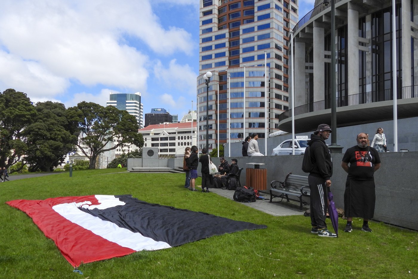 New Zealand's founding treaty is at a flashpoint. Why are thousands protesting for Māori rights? | iNFOnews.ca