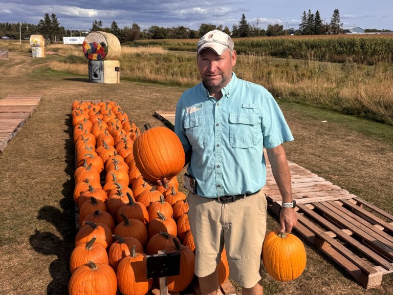 'There's something strange in the pumpkin fields.' Drought & heat frightening farmers | iNFOnews.ca