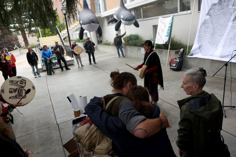 Court says hundreds of Walbran Valley trees 'spiked' as blockade injunction extended | iNFOnews.ca