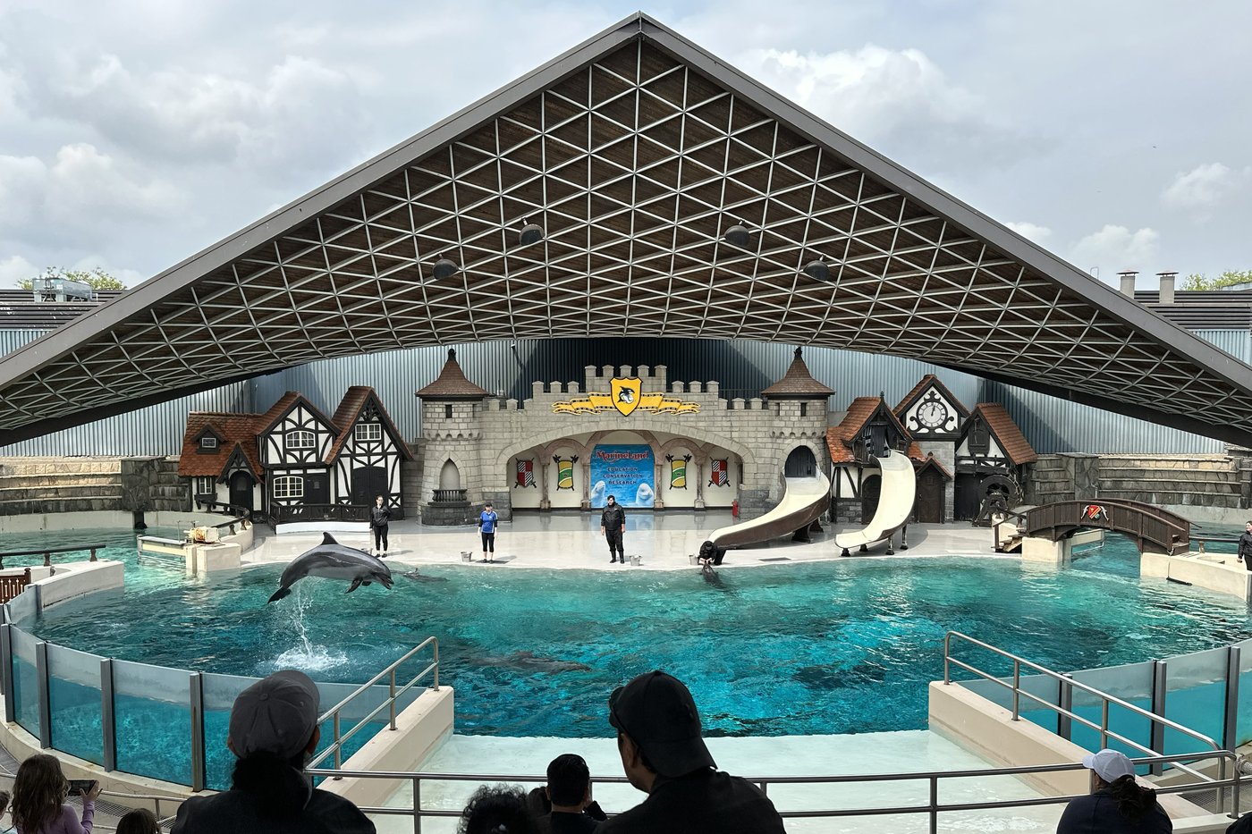 Marineland has solid plan to move whales and dolphins to U.S., minister says | iNFOnews.ca