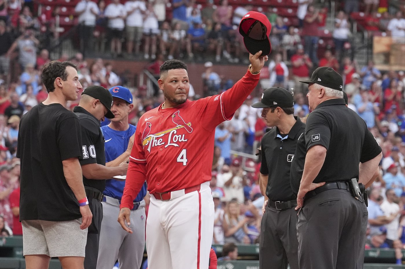 Pigs, furniture, appliances and a horse stolen from Yadier Molina property, Puerto Rican police say | iNFOnews.ca Pigs, furniture, appliances and a horse stolen from Yadier Molina property, Puerto Rican police say | iNFOnews.ca