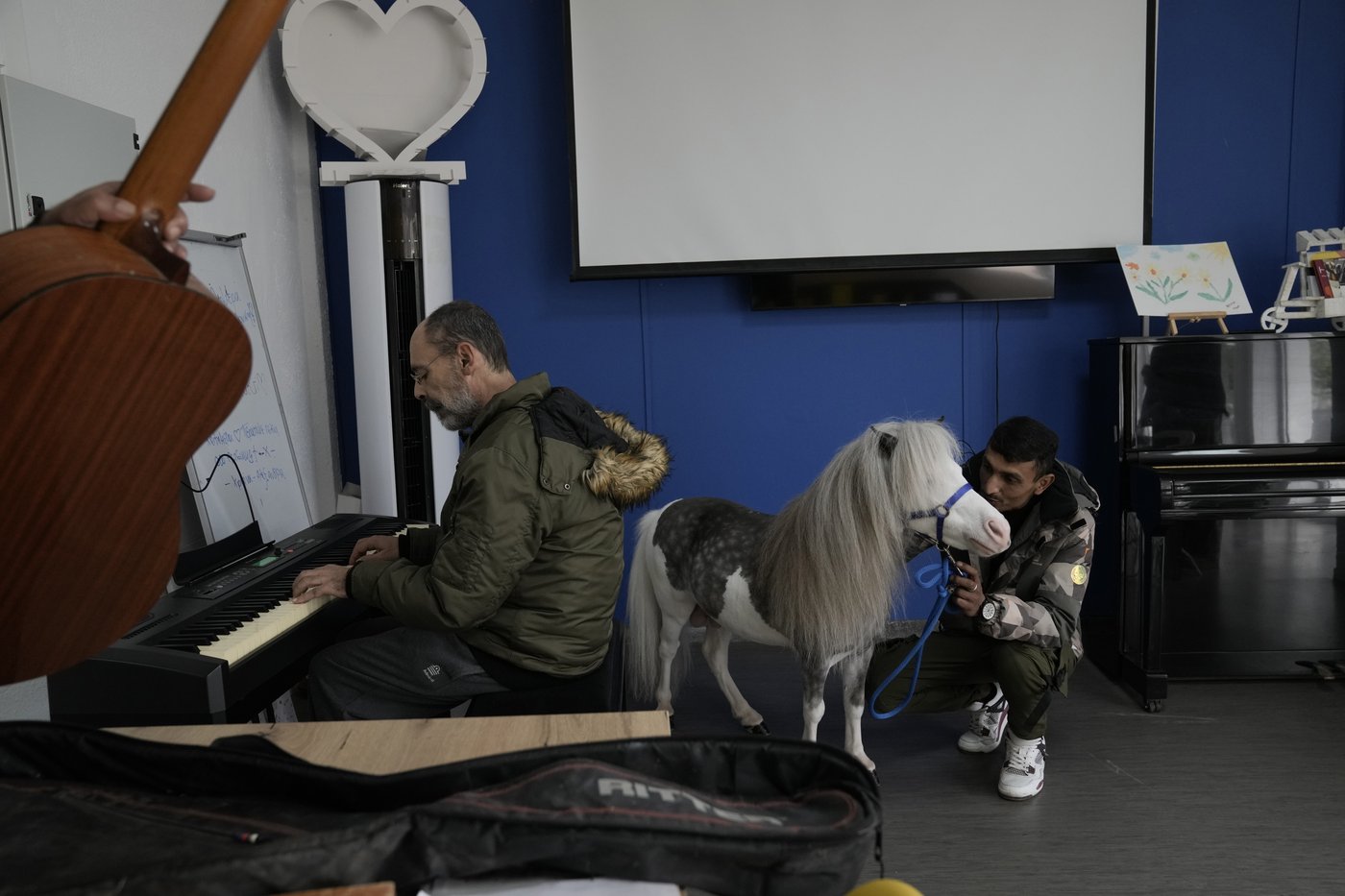 Greece's only miniature therapy horses bring joy to many, but their charity is struggling | iNFOnews.ca