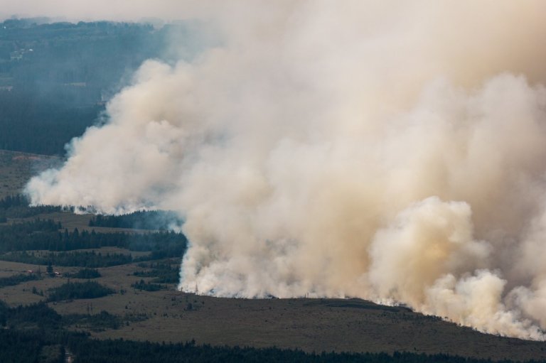 Firefighters battle a massive Belgian wildfire, forcing hundreds to evacuate | iNFOnews.ca