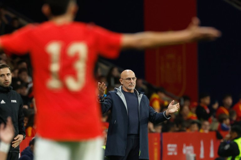 Spain coach Luis de la Fuente condemns xenophobia after fans' anti-Muslim chants against Egypt | iNFOnews.ca