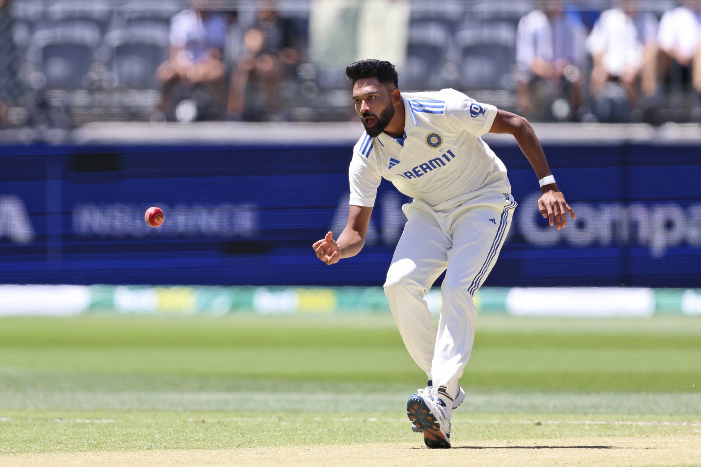 What is the IPL auction and who are the main players? | iNFOnews.ca