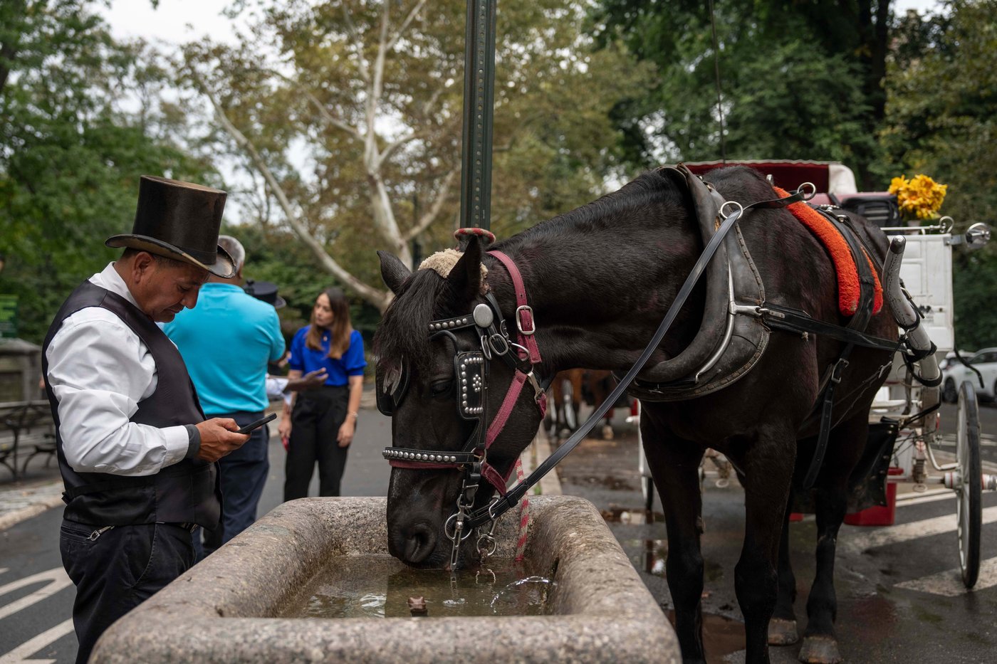 Facing a ban on horse-drawn carriages, Central Park's drivers fear for their livelihoods | iNwheels Facing a ban on horse-drawn carriages, Central Park's drivers fear for their livelihoods | iNwheels
