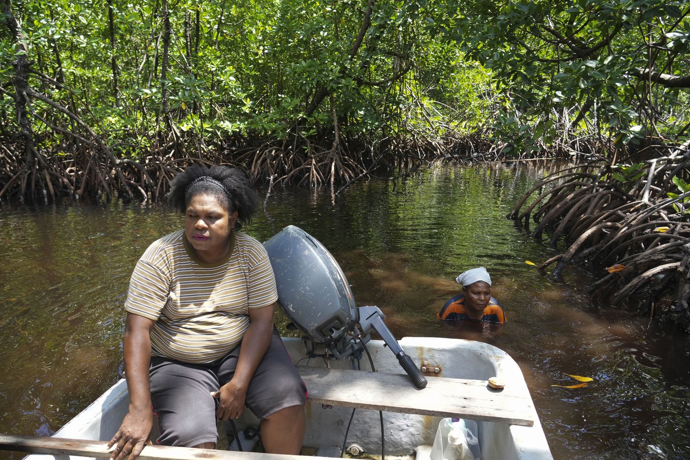 Papuan women's mangrove forest in Indonesia is increasingly threatened by development and pollution | iNFOnews.ca Papuan women's mangrove forest in Indonesia is increasingly threatened by development and pollution | iNFOnews.ca