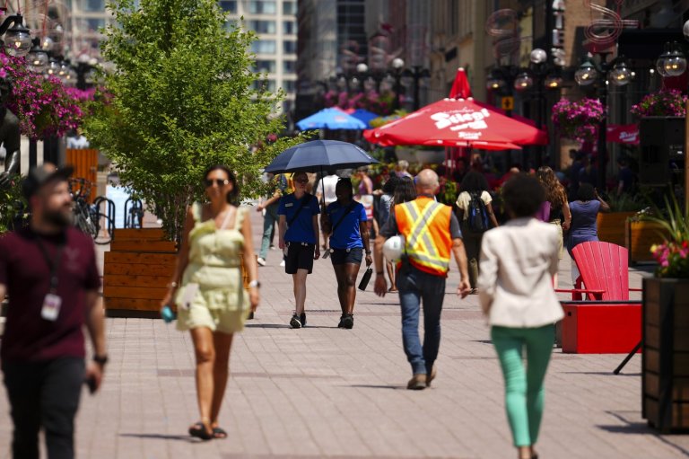 Applications for federal public service jobs drop by almost 30 per cent | iNFOnews.ca