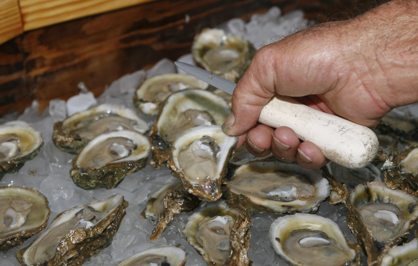 Florida wildlife officials consider reopening bay nationally known for its oysters | iNFOnews.ca