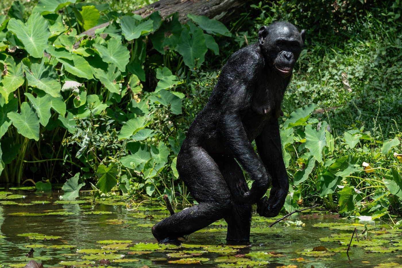 The top photos of the day by AP's photojournalists | iNFOnews.ca