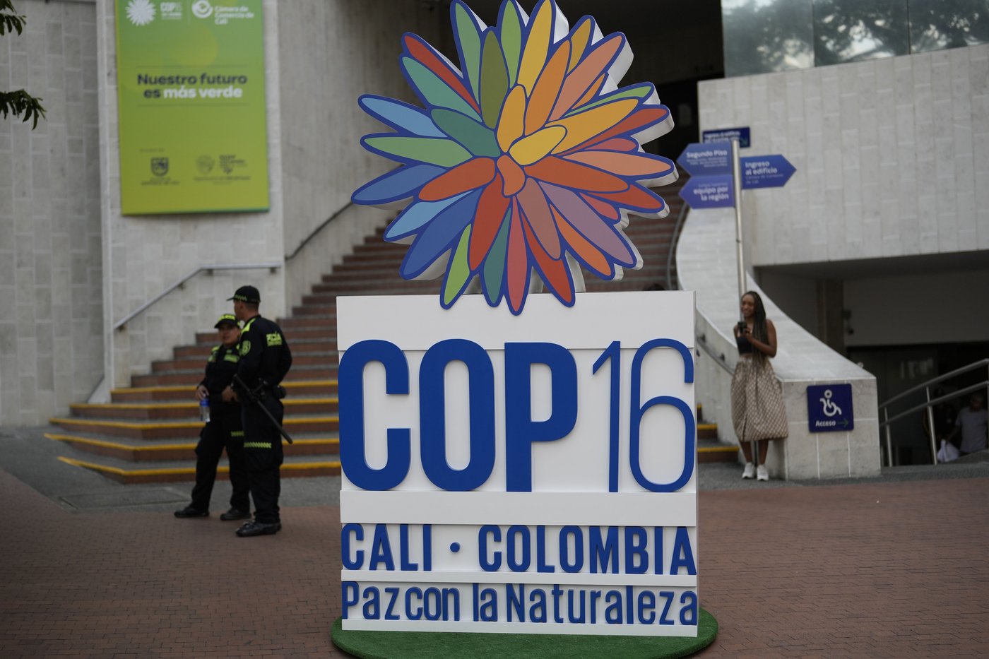 Slight progress in global biodiversity protection efforts but some species decline, new reports find | iNFOnews.ca Slight progress in global biodiversity protection efforts but some species decline, new reports find | iNFOnews.ca