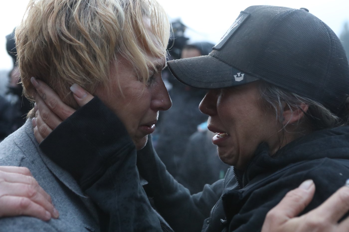 Gunshots at ostrich farm as cull at B.C. farm moves ahead | iNFOnews.ca Gunshots at ostrich farm as cull at B.C. farm moves ahead | iNFOnews.ca