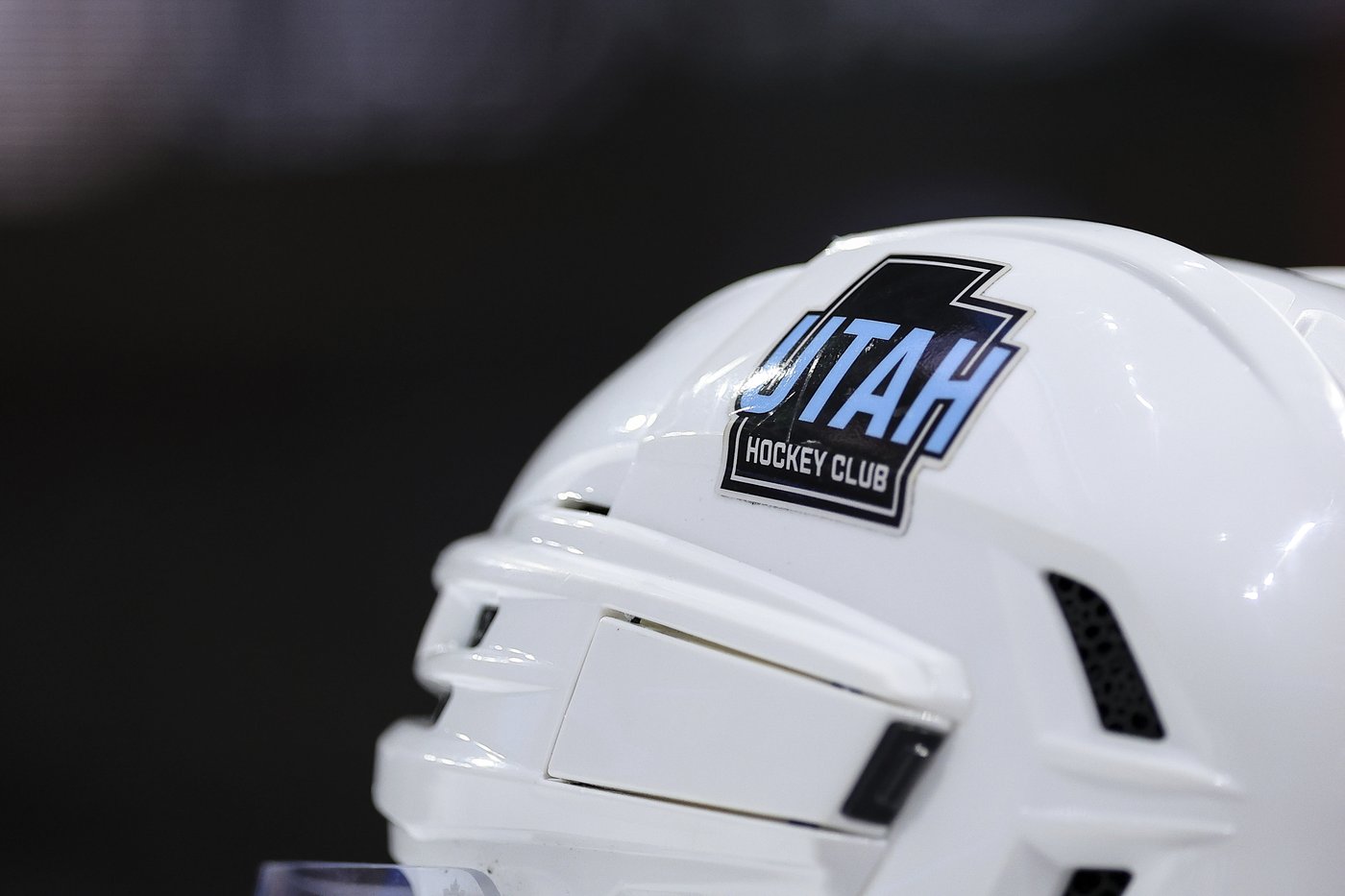 Utah Mammoth is the permanent name of the NHL team in Salt Lake City | iNFOnews.ca
