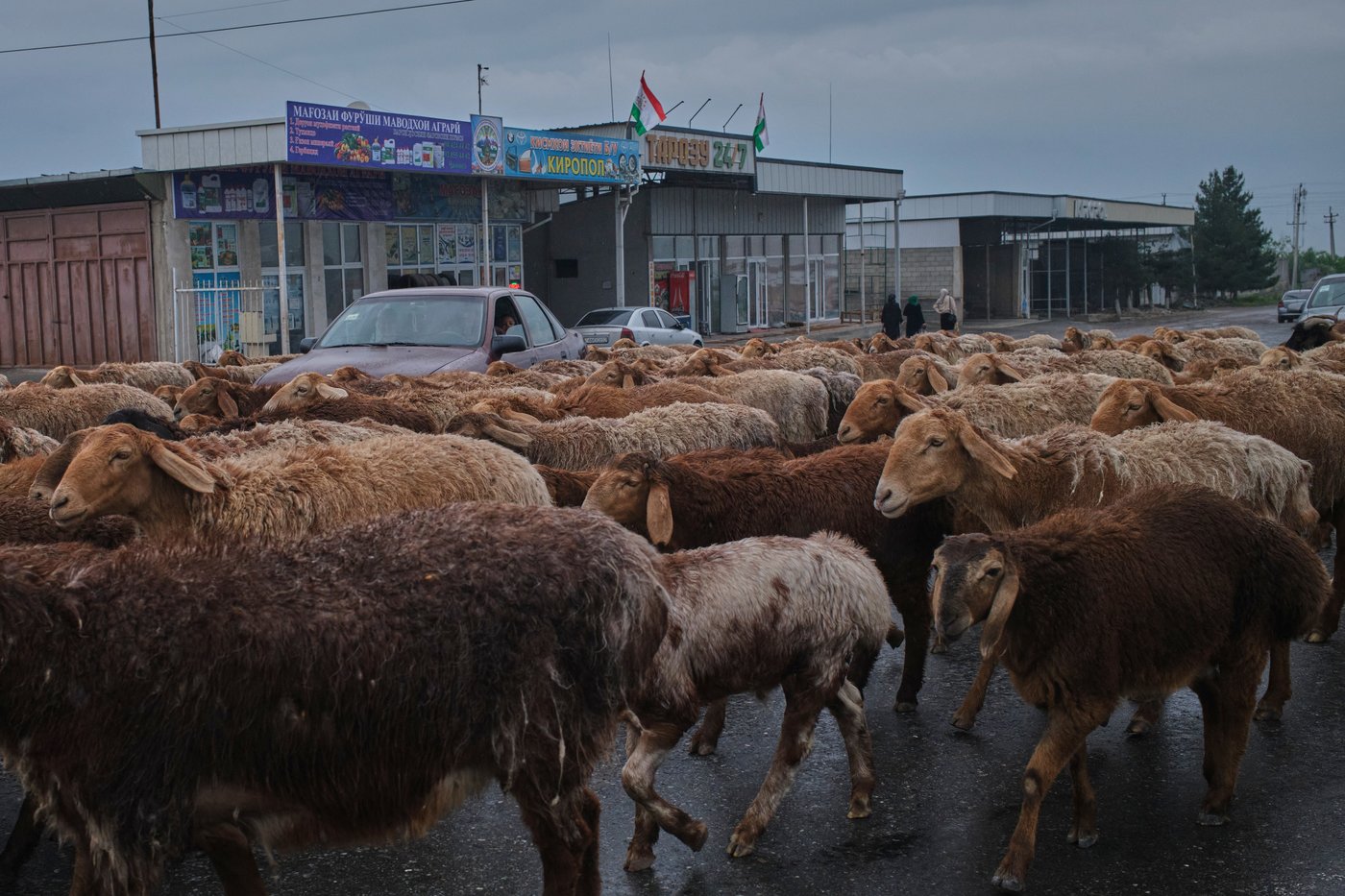 PHOTO ESSAY: A peaceful Tajikistan prepares to mark 35 years of independence | iNFOnews.ca