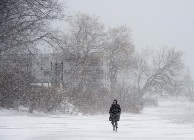 Calling a snow day: How Halifax schools make the early morning call | iNFOnews.ca