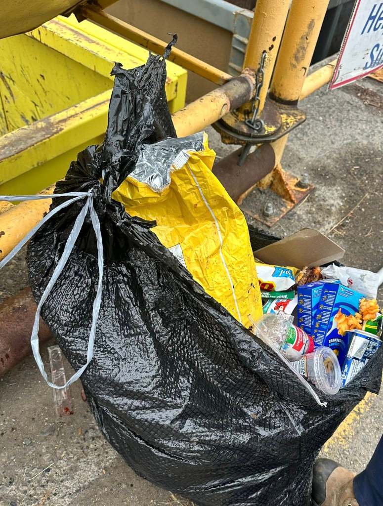 Dog found in garbage bag at 100 Mile House dump | iNFOnews.ca