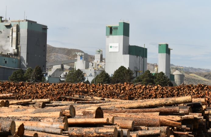 Kamloops pulp stink blamed on power outage | iNFOnews.ca