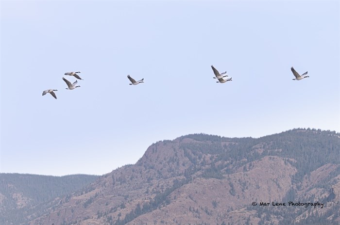 iN PHOTOS: September serenity in Kamloops and the Okanagan | iNFOnews.ca iN PHOTOS: September serenity in Kamloops and the Okanagan | iNFOnews.ca