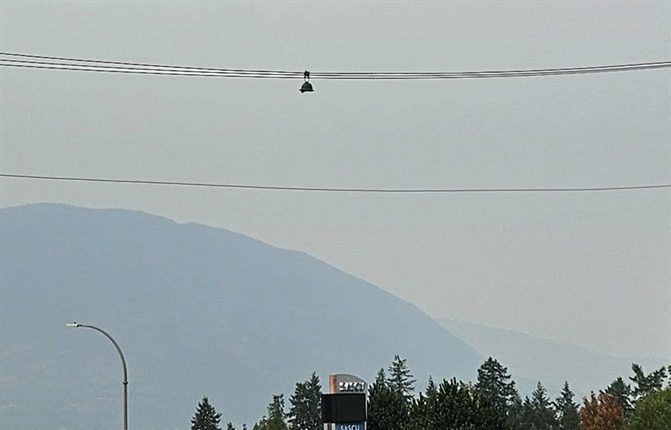 Why green hard hats hang from power lines in BC | iNFOnews.ca