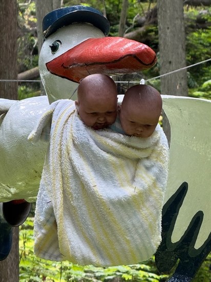 iN PHOTOS: Freaky figurines lurk in an Enchanted Forest near Revelstoke | iNFOnews.ca
