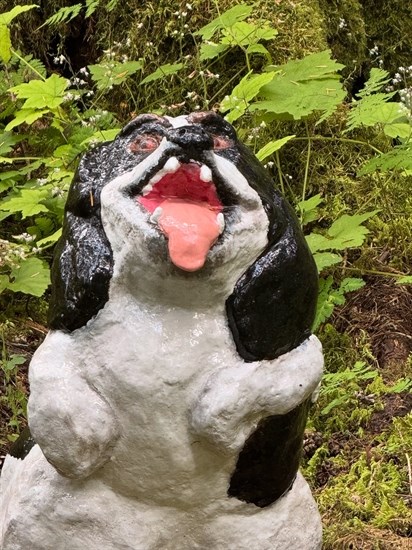 iN PHOTOS: Freaky figurines lurk in an Enchanted Forest near Revelstoke | iNFOnews.ca