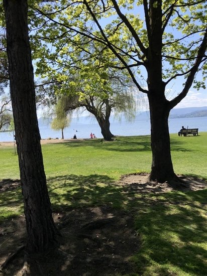iN PHOTOS: The beauty of komorebi captured in Kamloops, Okanagan | iNFOnews.ca iN PHOTOS: The beauty of komorebi captured in Kamloops, Okanagan | iNFOnews.ca
