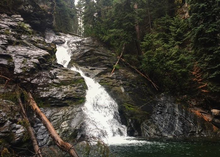 Water flowing over rocks in the forest