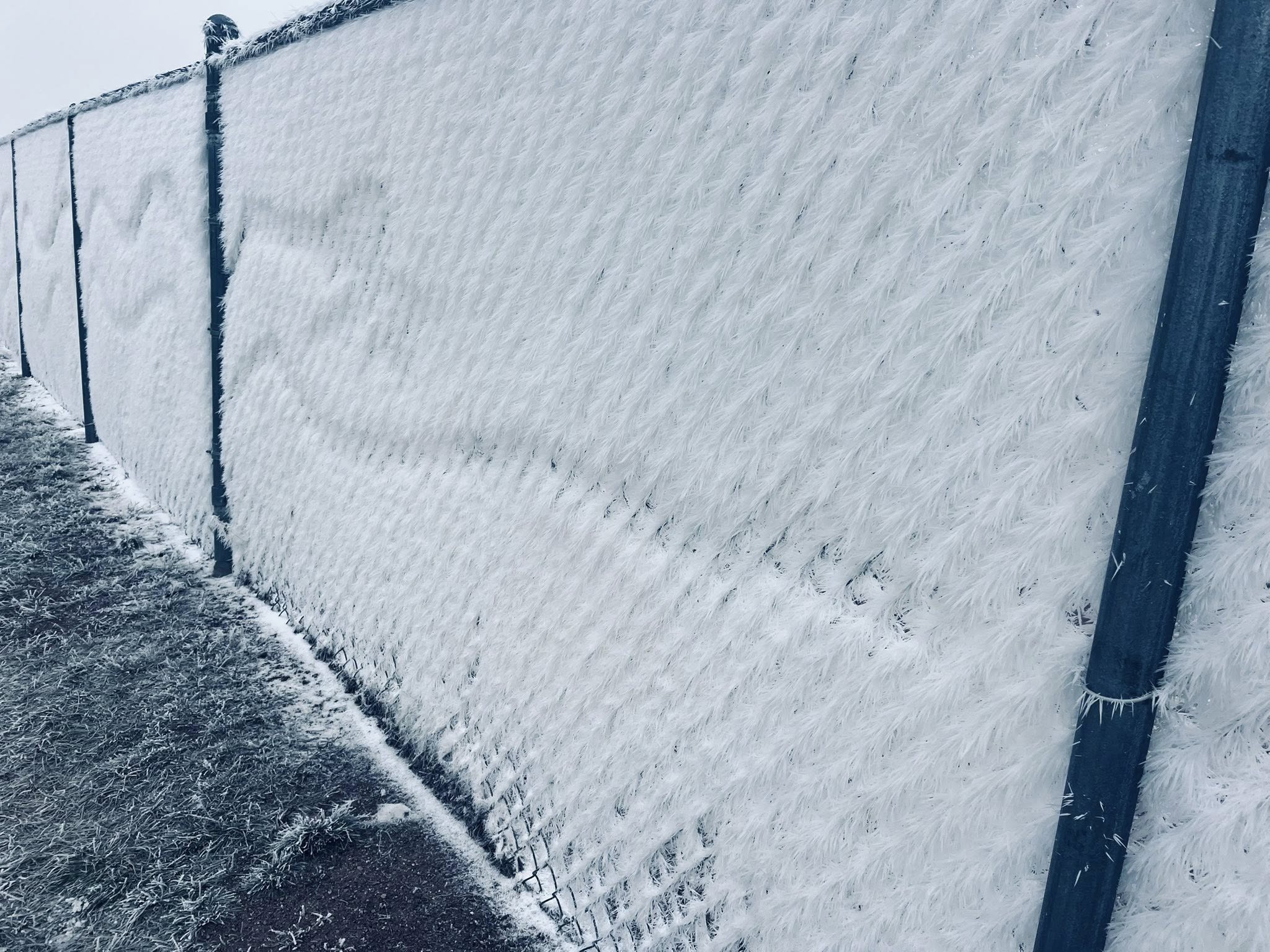 A chain link fence it covered with feathery ice crystals.