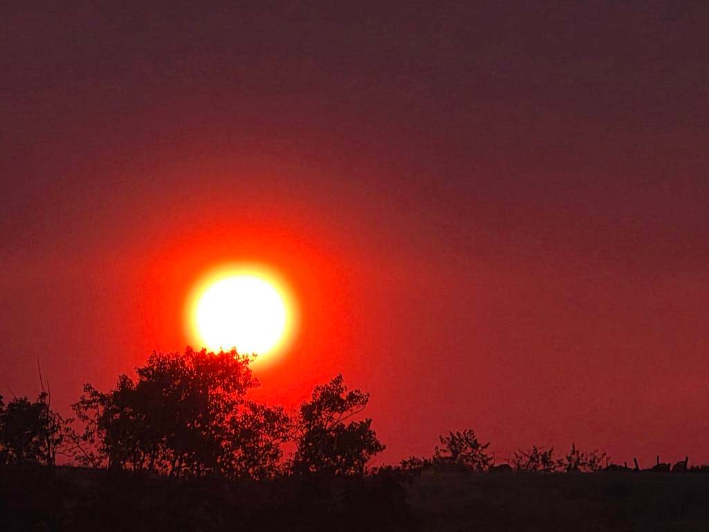 iN PHOTOS: Looking back at smoke-filled skies in Thompson-Okanagan | iNFOnews.ca iN PHOTOS: Looking back at smoke-filled skies in Thompson-Okanagan | iNFOnews.ca