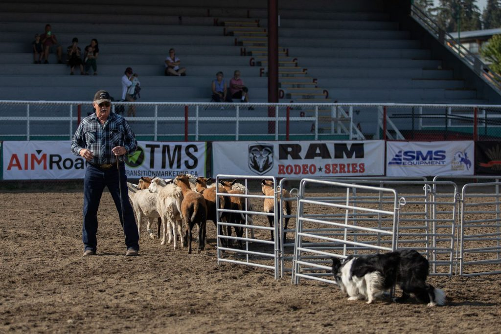 Armstrong saddles up for the 125th IPE and Stampede | iNFOnews.ca