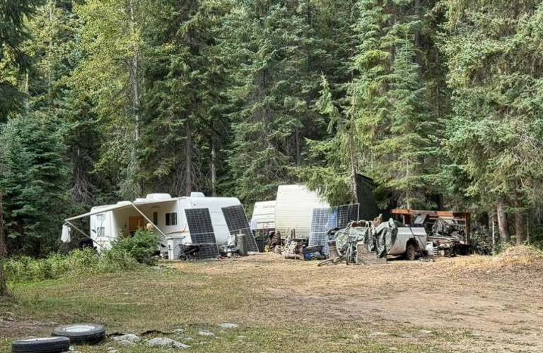A makeshift encampment seen in a forest.