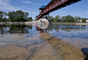 CP24141409