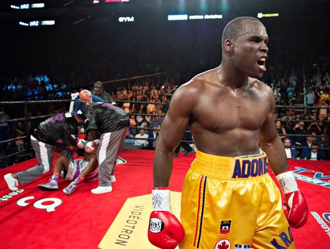 Adonis Stevenson retains light heavyweight title with win over Williams Jr. | iNFOnews.ca